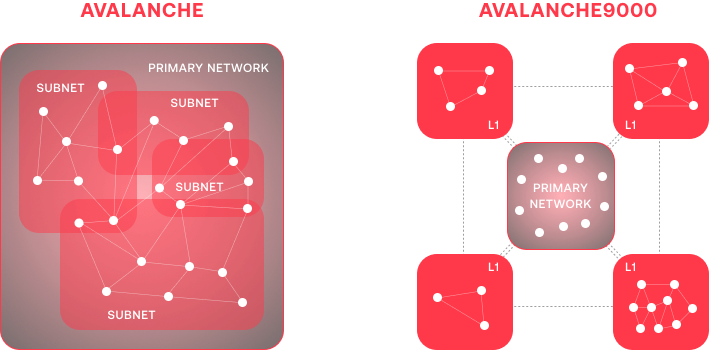 Avalanche vs Avalanche9000 Comparison
